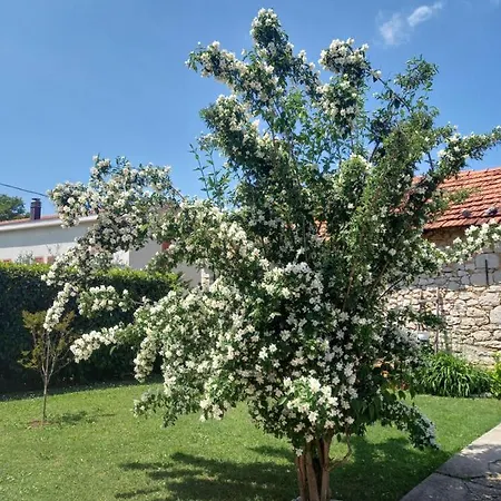 Janja Medjugorje