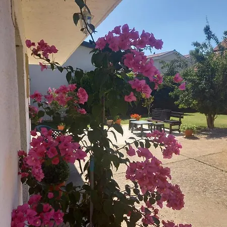 Janja Medjugorje 게스트하우스 Međugorje
