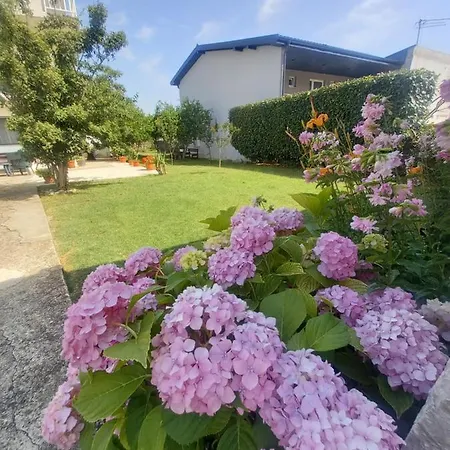 Janja Medjugorje Međugorje