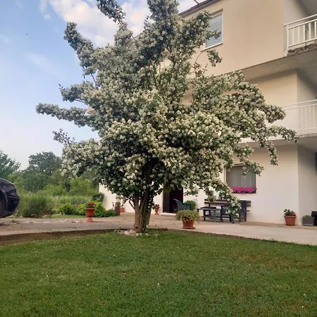 게스트하우스 Janja Medjugorje