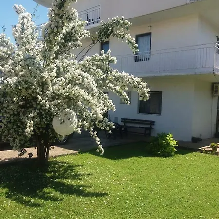 Janja Medjugorje 게스트하우스