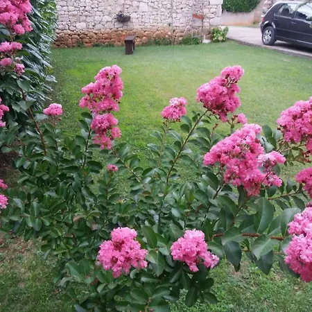 게스트하우스 Janja Medjugorje Međugorje